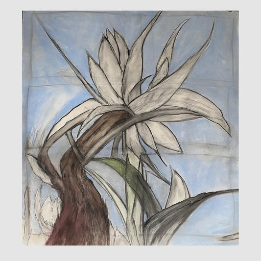 Botanical Drawing - Size: 92 x 77 cm,  Medium: Oil/ Chalk on Fabriano