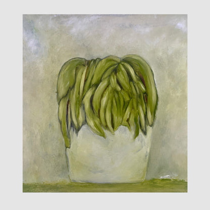 Halo Aloe - Size: 41 x 41 cm,  Medium: Oil on Board,  Unframed