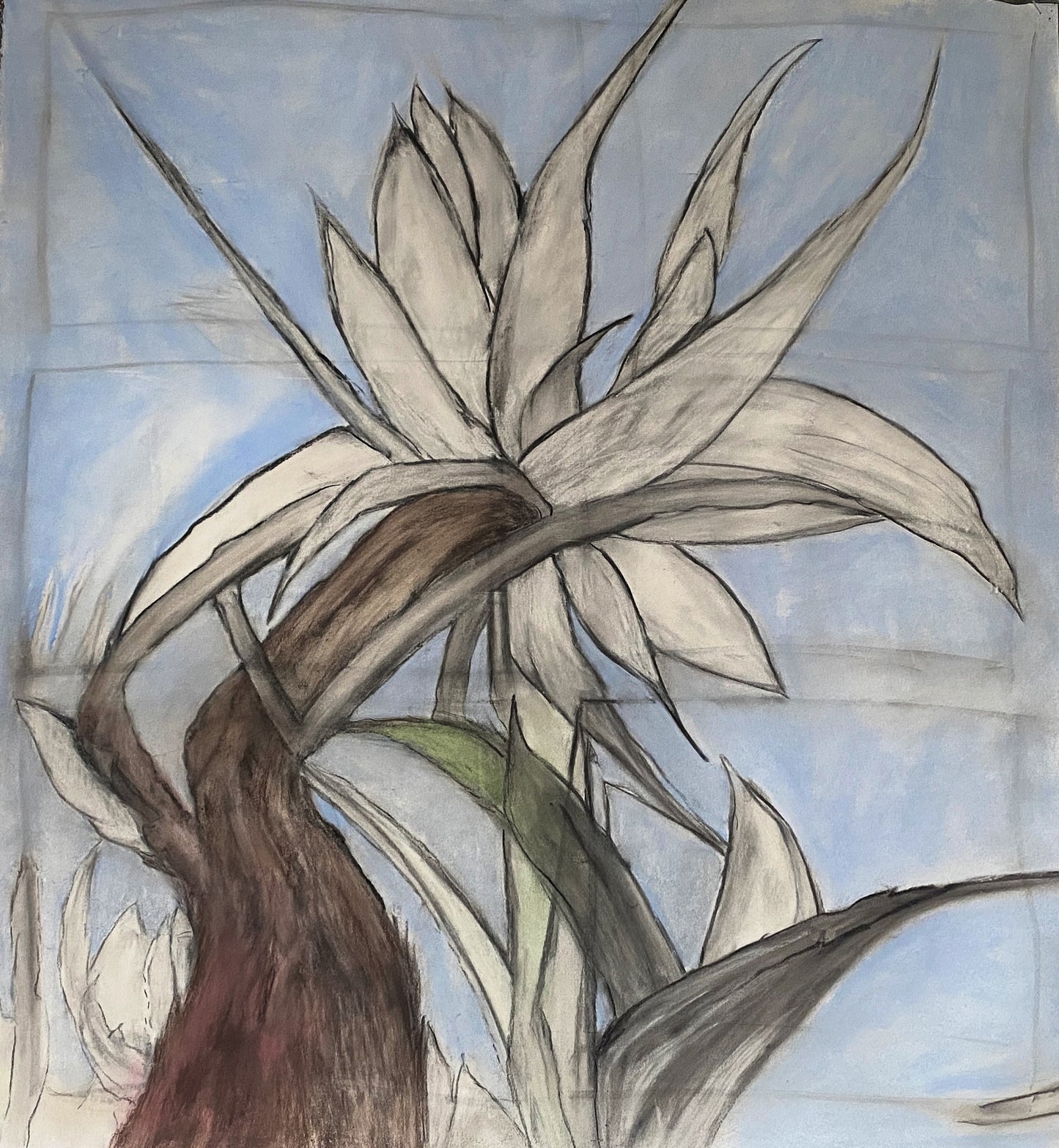 Botanical Drawing - Size: 92 x 77 cm,  Medium: Oil/ Chalk on Fabriano