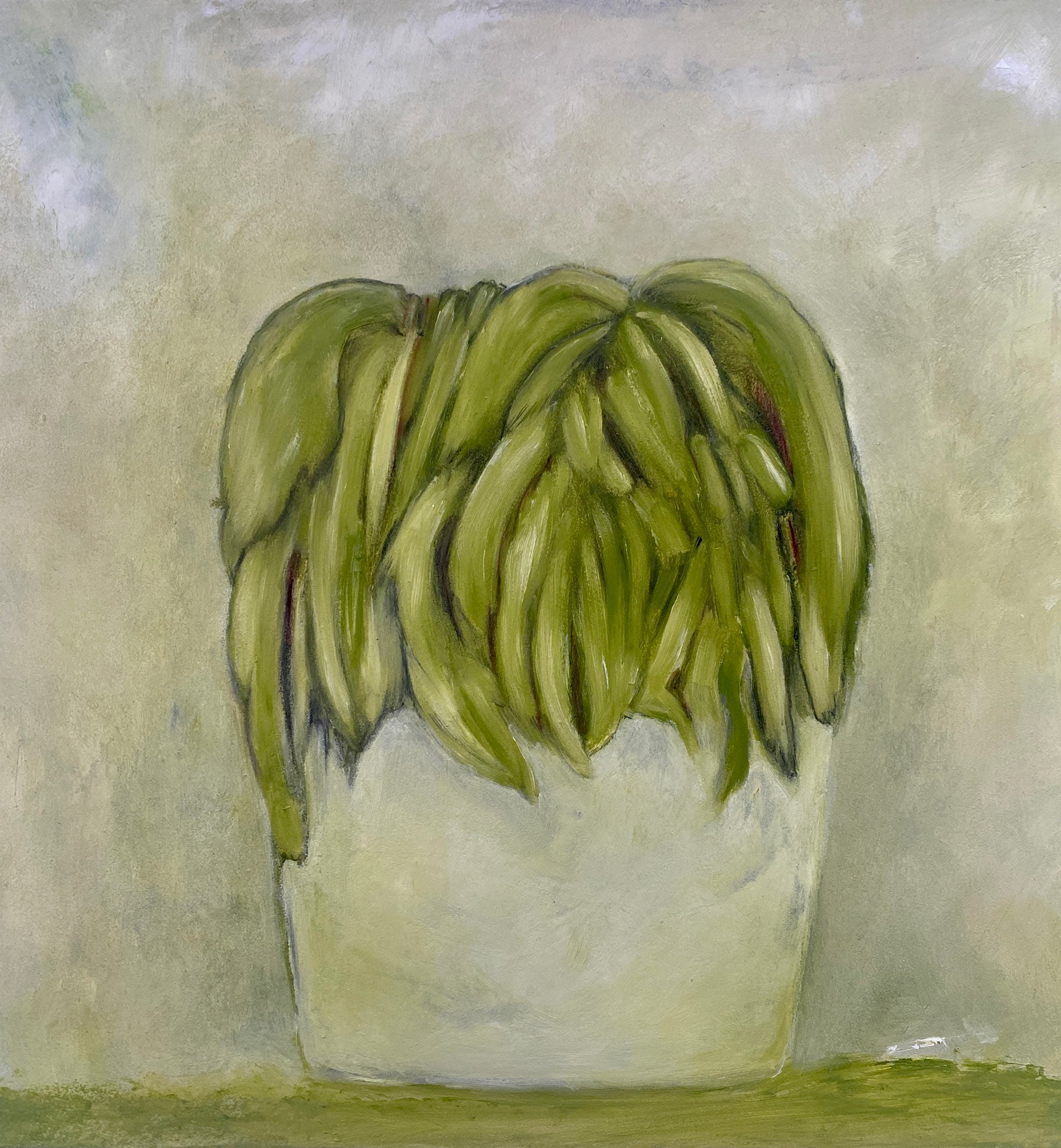 Halo Aloe - Size: 41 x 41 cm,  Medium: Oil on Board,  Unframed